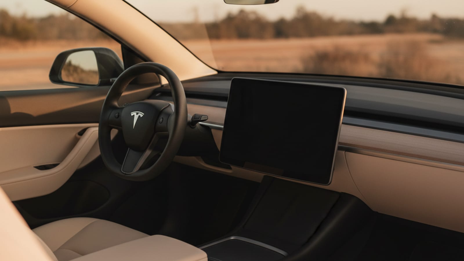 Tesla parked at a sunlit suburban curb with a dark cabin visible through the windshield